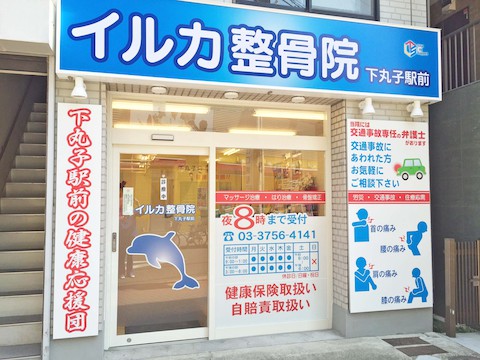 院 イルカ 整骨